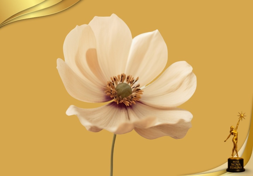 Flor beige sobre fondo dorado junto al logotipo de Miss Nova Femina, simbolizando belleza y delicadeza con propósito.